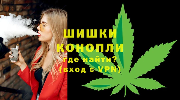 PSILOCYBIN Семилуки