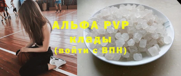 эйфоретик Дмитриев