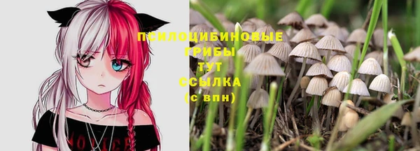 спиды Семикаракорск