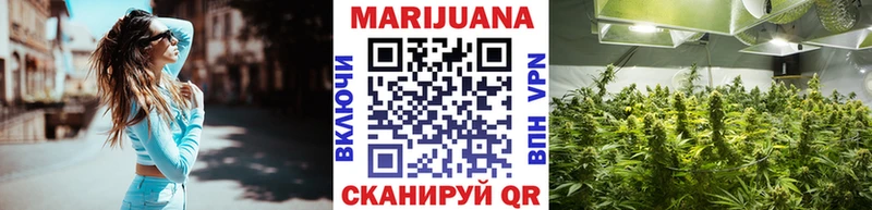 Бошки марихуана гибрид  Каргат 